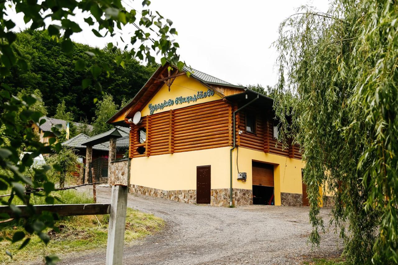 Chudodievo In Chynadievo Mini-Hotel Chynadiyovo エクステリア 写真