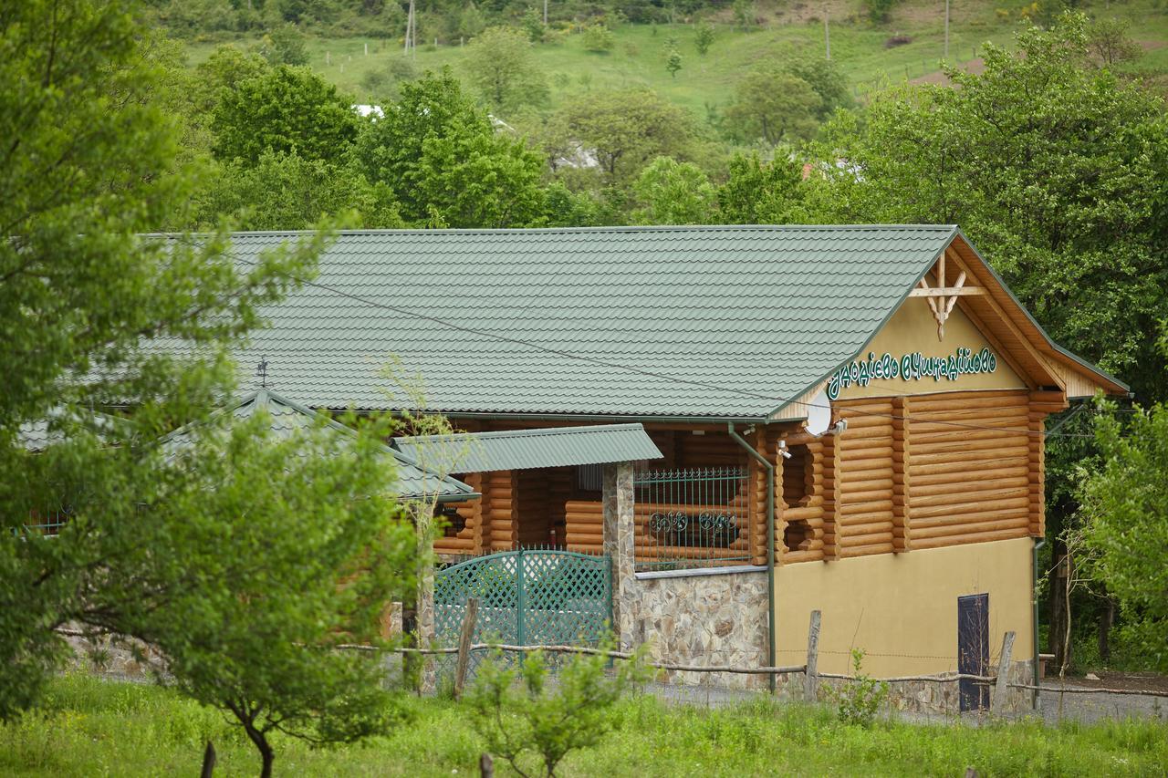 Chudodievo In Chynadievo Mini-Hotel Chynadiyovo エクステリア 写真